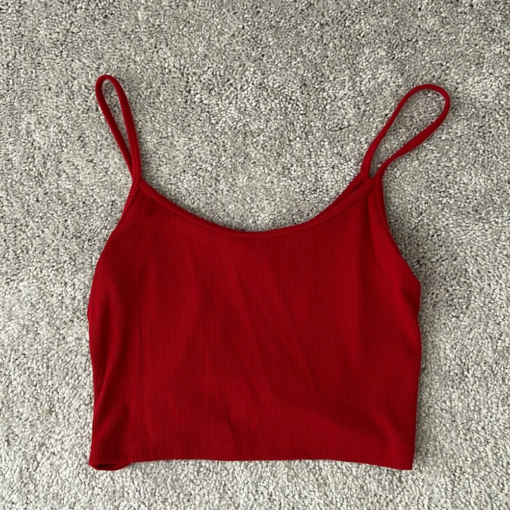 Brandy Melville Crop Top